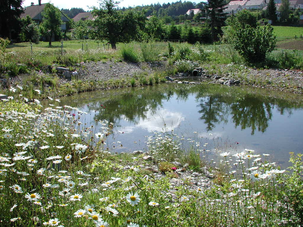Fachkurs GEP-Grundlagen