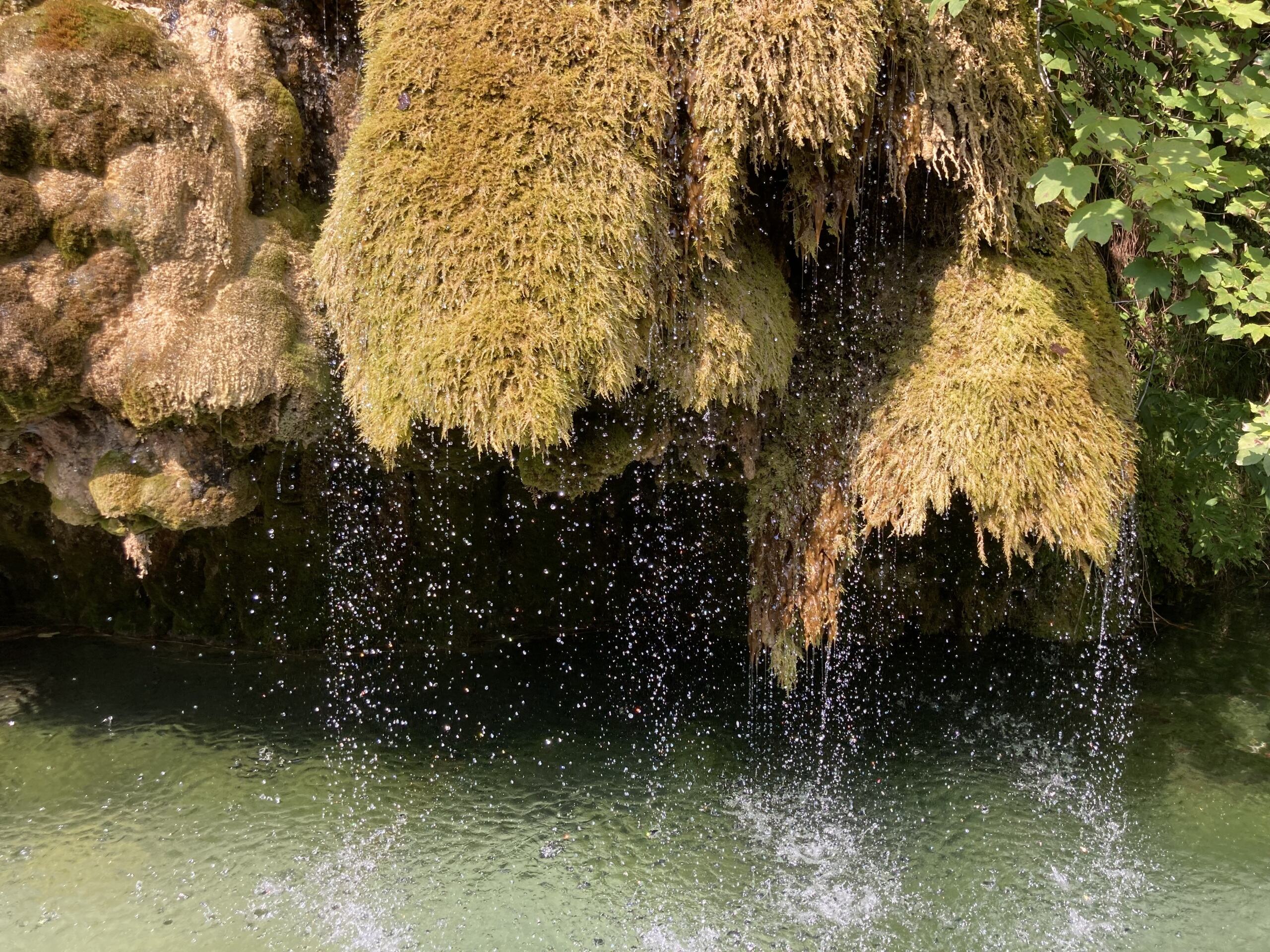 Fachkurs Quellrevitalisierung